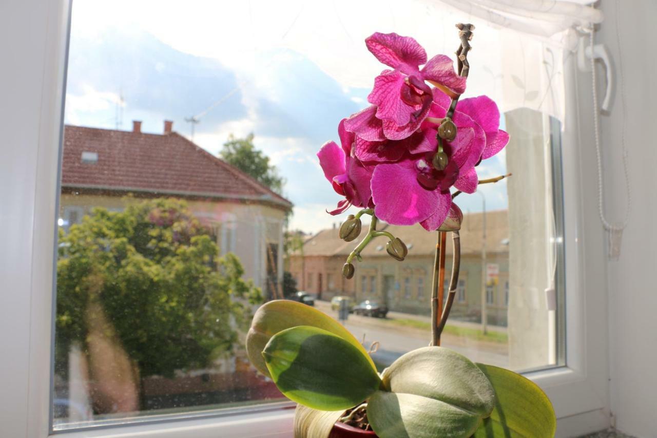 Apartamento Luma 1 Osijek Exterior foto